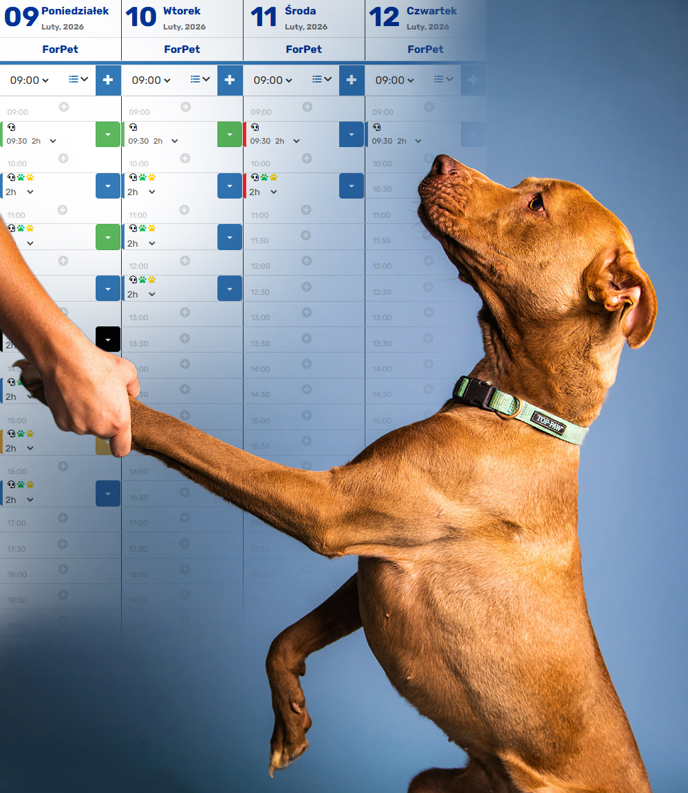 Rezerwacje wizyt adopcyjnych 24/7